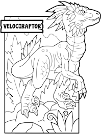 Velociraptor