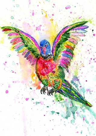 Colorful Parrot