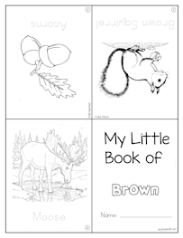 My Little Brown Book