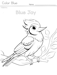 Blue Jay Coloring Page