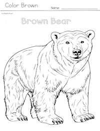 Brown Bear Coloring Page