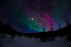 Northern Lights