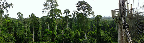 Kakum National Park