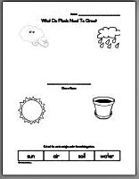 What Do Plants Need To Grow Worksheet