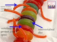 Make an edible spinal column