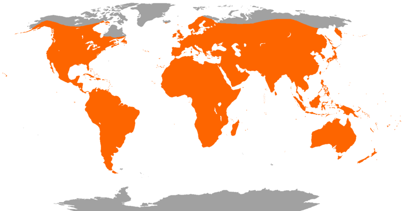 Bat Range Distribution