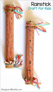 Rainstick Craft