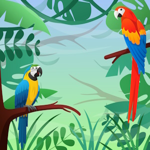 Colorful Parrots