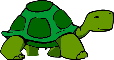 Green Turtle