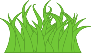 Grass