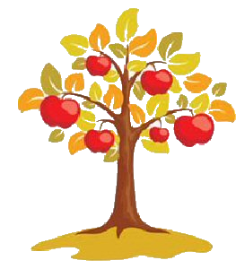 Apple Tree