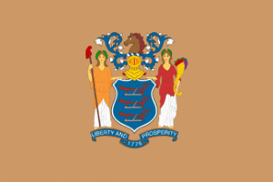 New Jersey Flag